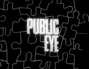 the words Public Eye in white on a background that is a jigsaw puzzle shape 